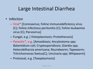 Large Intestinal Diarrhea
• Infection
– Viral* [Coronavirus; Feline immunodeficiency virus
(C); Feline infectious peritonitis (C); Feline leukaemia
virus (C); Parvovirus]
– Fungal, e.g. [ Histoplasmosis; Protothecosis]
– Parasitic*, e.g. [Amoebiasis; Ancylostoma spp;
Balantidium coli; Cryptosporidiosis; Giardia spp;
Heterobilharzia americana; Roundworm; Tapeworm;
Tritrichomonas foetus(C); Uncinaria spp; Whipworm]
– Protozoal, e.g. [Toxoplasmosis]
triakoso 2014

 