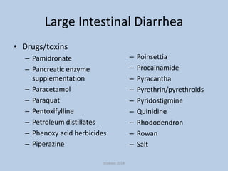 Large Intestinal Diarrhea
• Drugs/toxins
– Pamidronate
– Pancreatic enzyme
supplementation
– Paracetamol
– Paraquat
– Pentoxifylline
– Petroleum distillates
– Phenoxy acid herbicides
– Piperazine
triakoso 2014

–
–
–
–
–
–
–
–
–

Poinsettia
Procainamide
Pyracantha
Pyrethrin/pyrethroids
Pyridostigmine
Quinidine
Rhododendron
Rowan
Salt

 