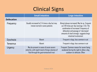 Clinical Signs
Small intestine

Large intestine

Frequency

Usually increased to 2-4 times a day but may
remain normal in some patients

Almost always increased. May be as frequent
as 3-10 times per day (average 3-5). The
combination of increased frequency of
defecation and passage of decreased
amounts of stool strongly suggests large
intestinal involvement

Dyschezia

Absent

Frequent in dogs, less common in cat

Tenesmus

Absent

Frequent in dogs, less common in cat

May be present in cases of acute severe
enteritis, with rapid transit of large volumes of
fluid through the gastrointestinal tract

Frequent. Common reason for owner being
awakened during the night to allow a dog
outdoors to defecate. Often

Defecation

Urgency

triakoso 2014

 