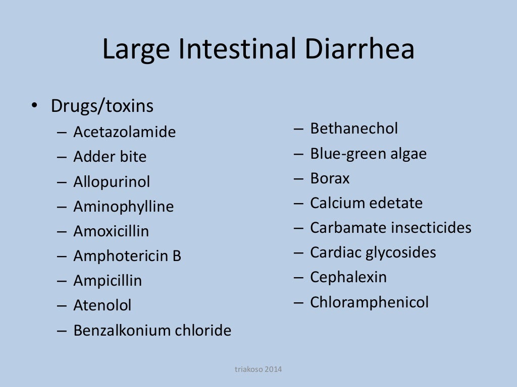 Differential Diarrhea Small Animal Medicine