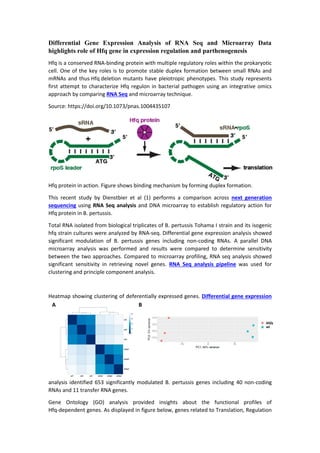 Differential Gene Expression Analysis of RNA Seq and Microarray Data
highlights role of Hfq gene in expression regulation and parthenogenesis
Hfq is a conserved RNA-binding protein with multiple regulatory roles within the prokaryotic
cell. One of the key roles is to promote stable duplex formation between small RNAs and
mRNAs and thus Hfq deletion mutants have pleiotropic phenotypes. This study represents
first attempt to characterize Hfq regulon in bacterial pathogen using an integrative omics
approach by comparing RNA Seq and microarray technique.
Source: https://doi.org/10.1073/pnas.1004435107
Hfq protein in action. Figure shows binding mechanism by forming duplex formation.
This recent study by Dienstbier et al (1) performs a comparison across next generation
sequencing using RNA Seq analysis and DNA microarray to establish regulatory action for
Hfq protein in B. pertussis.
Total RNA isolated from biological triplicates of B. pertussis Tohama I strain and its isogenic
hfq strain cultures were analyzed by RNA-seq. Differential gene expression analysis showed
significant modulation of B. pertussis genes including non-coding RNAs. A parallel DNA
microarray analysis was performed and results were compared to determine sensitivity
between the two approaches. Compared to microarray profiling, RNA seq analysis showed
significant sensitivity in retrieving novel genes. RNA Seq analysis pipeline was used for
clustering and principle component analysis.
Heatmap showing clustering of deferentially expressed genes. Differential gene expression
analysis identified 653 significantly modulated B. pertussis genes including 40 non-coding
RNAs and 11 transfer RNA genes.
Gene Ontology (GO) analysis provided insights about the functional profiles of
Hfq-dependent genes. As displayed in figure below, genes related to Translation, Regulation
 