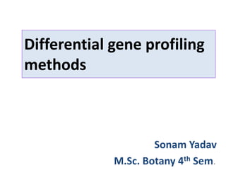 Differential gene profiling
methods
Sonam Yadav
M.Sc. Botany 4th Sem.
 