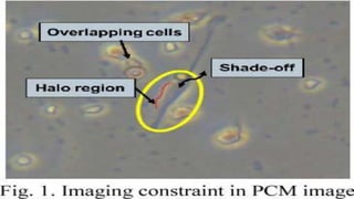 Differential Interference Contrast Microscope.pptx