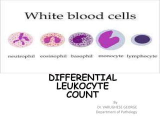 DIFFERENTIAL
LEUKOCYTE
COUNT
By
Dr. VARUGHESE GEORGE
Department of Pathology
 