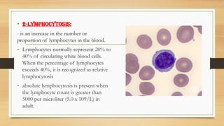 • 2-Lymphocytosis:
- is an increase in the number or
proportion of lymphocytes in the blood.
- Lymphocytes normally represent 20% to
40% of circulating white blood cells.
When the percentage of lymphocytes
exceeds 40%, it is recognized as relative
lymphocytosis
- absolute lymphocytosis is present when
the lymphocyte count is greater than
5000 per microliter (5.0 x 109/L) in
adult.
 