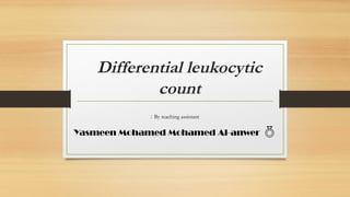 Differential leukocytic
count
By teaching assistant
:
Yasmeen Mohamed Mohamed Al-anwer 
 