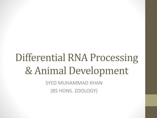Differential RNA Processing
& Animal Development
SYED MUHAMMAD KHAN
(BS HONS. ZOOLOGY)
 
