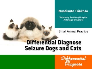 Veterinary Teaching Hospital
Airlangga University

Small Animal Practice

Differential
Diagnose

 