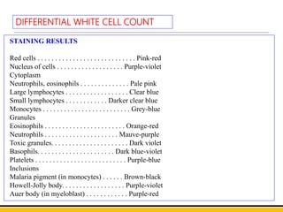 Differential WBC Count | PPTX
