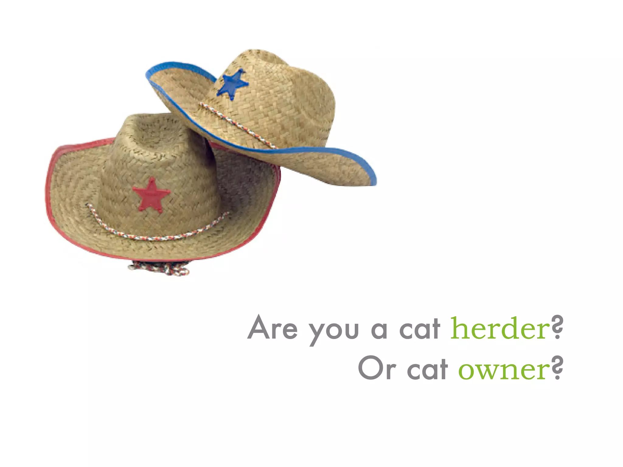 Differentiated Instruction