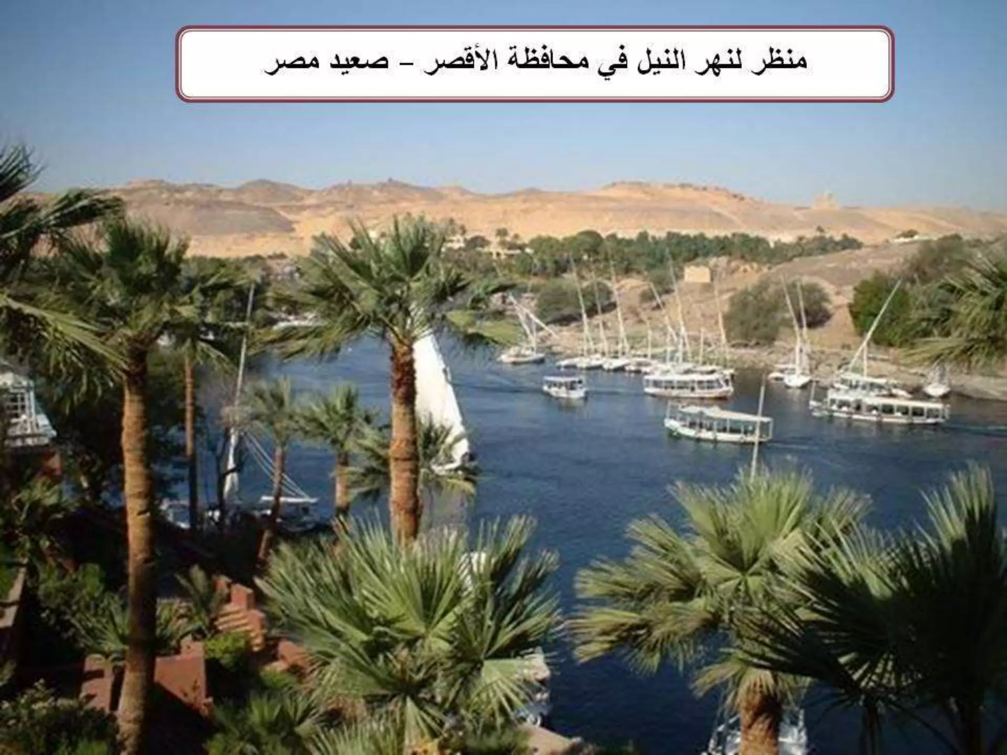 Differentiated instruction