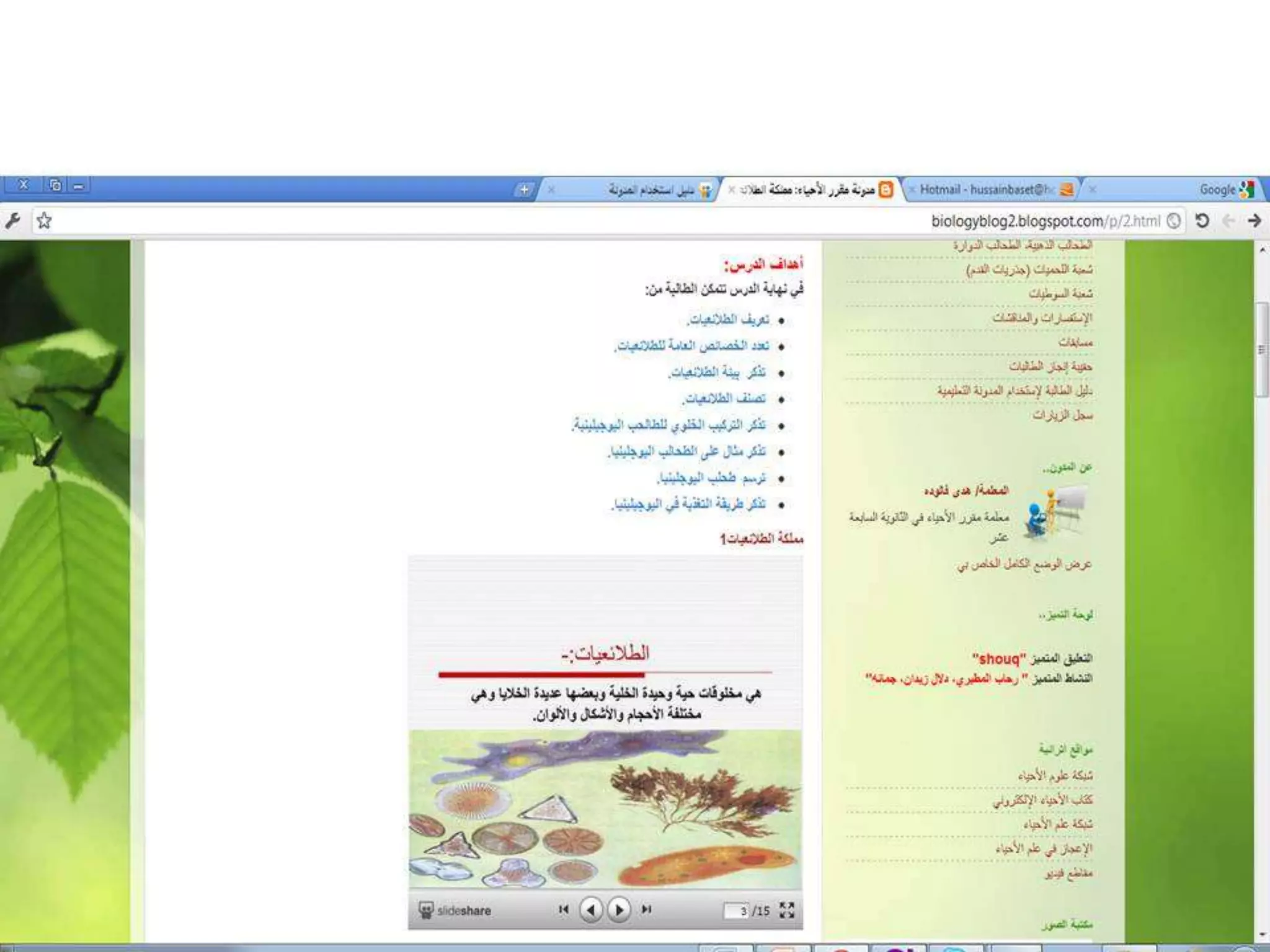 Differentiated instruction