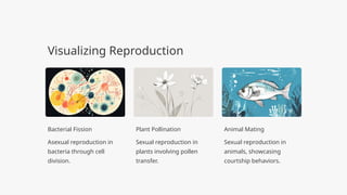 Differentiating-Sexual-and-Asexual-Reproduction.pptx