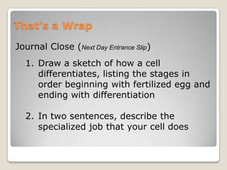 That’s a Wrap
Journal Close (Next Day Entrance Slip)
1. Draw a sketch of how a cell
differentiates, listing the stages in
order beginning with fertilized egg and
ending with differentiation
2. In two sentences, describe the
specialized job that your cell does

 