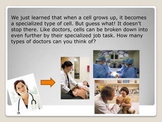 We just learned that when a cell grows up, it becomes
a specialized type of cell. But guess what! It doesn‟t
stop there. Like doctors, cells can be broken down into
even further by their specialized job task. How many
types of doctors can you think of?

 