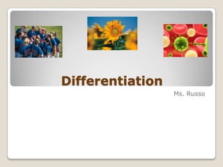 Differentiation
Ms. Russo

 