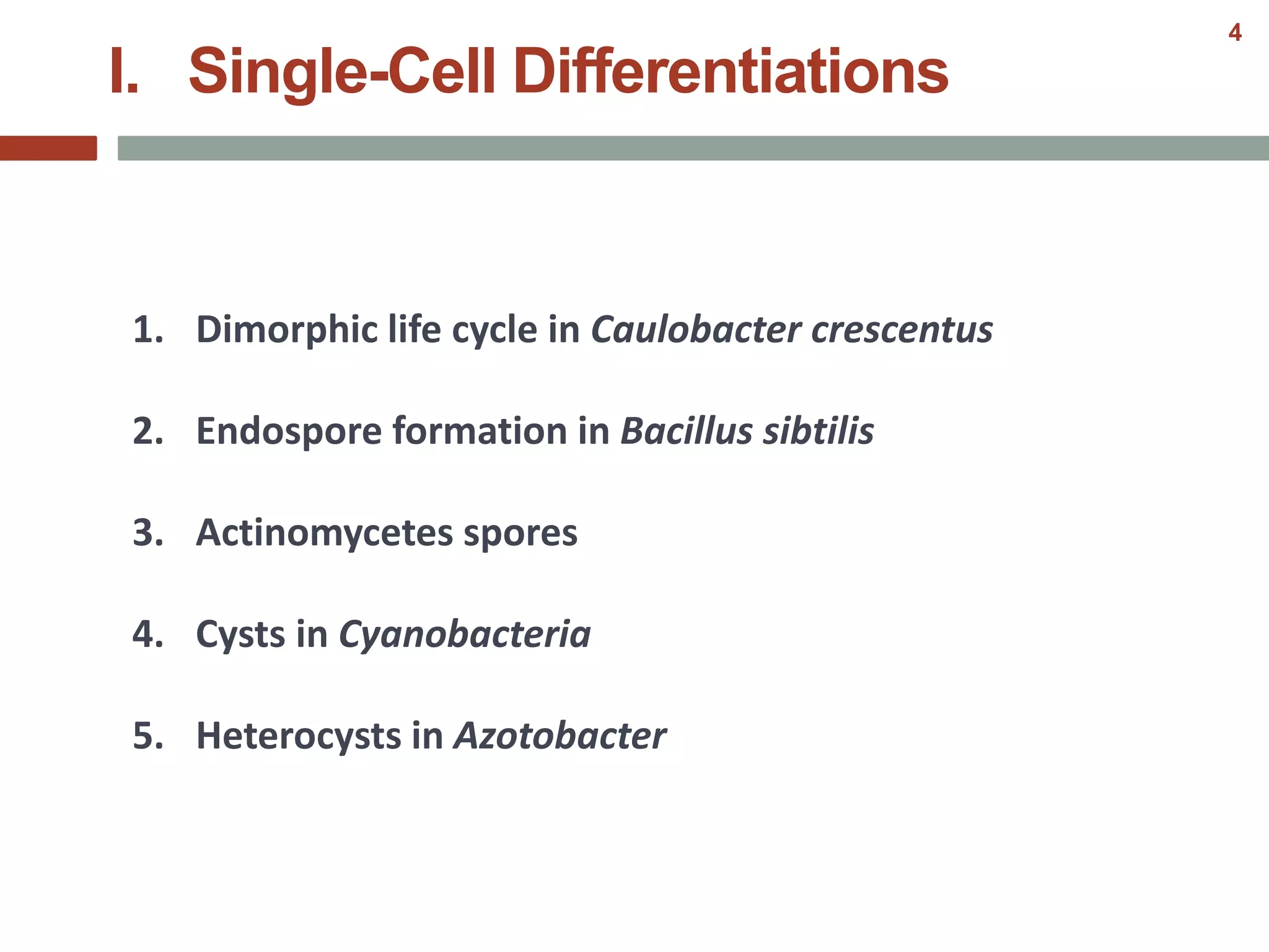 I. Single-Cell Differentiations
1. Dimorphic life cycle in Caulobacter crescentus
2. Endospore formation in Bacillus sibtilis
3. Actinomycetes spores
4. Cysts in Cyanobacteria
5. Heterocysts in Azotobacter
4
 