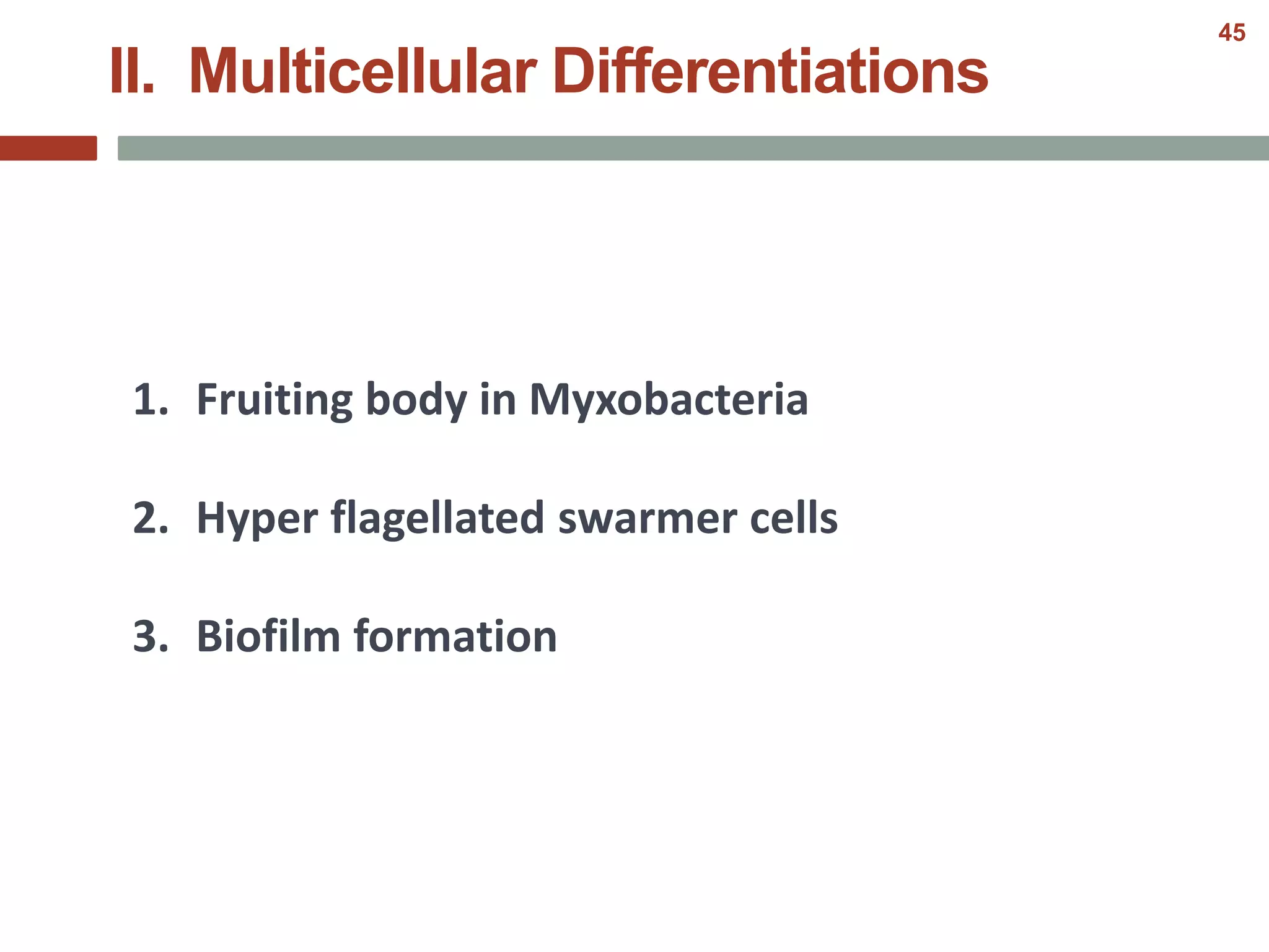 II. Multicellular Differentiations
1. Fruiting body in Myxobacteria
2. Hyper flagellated swarmer cells
3. Biofilm formation
45
 