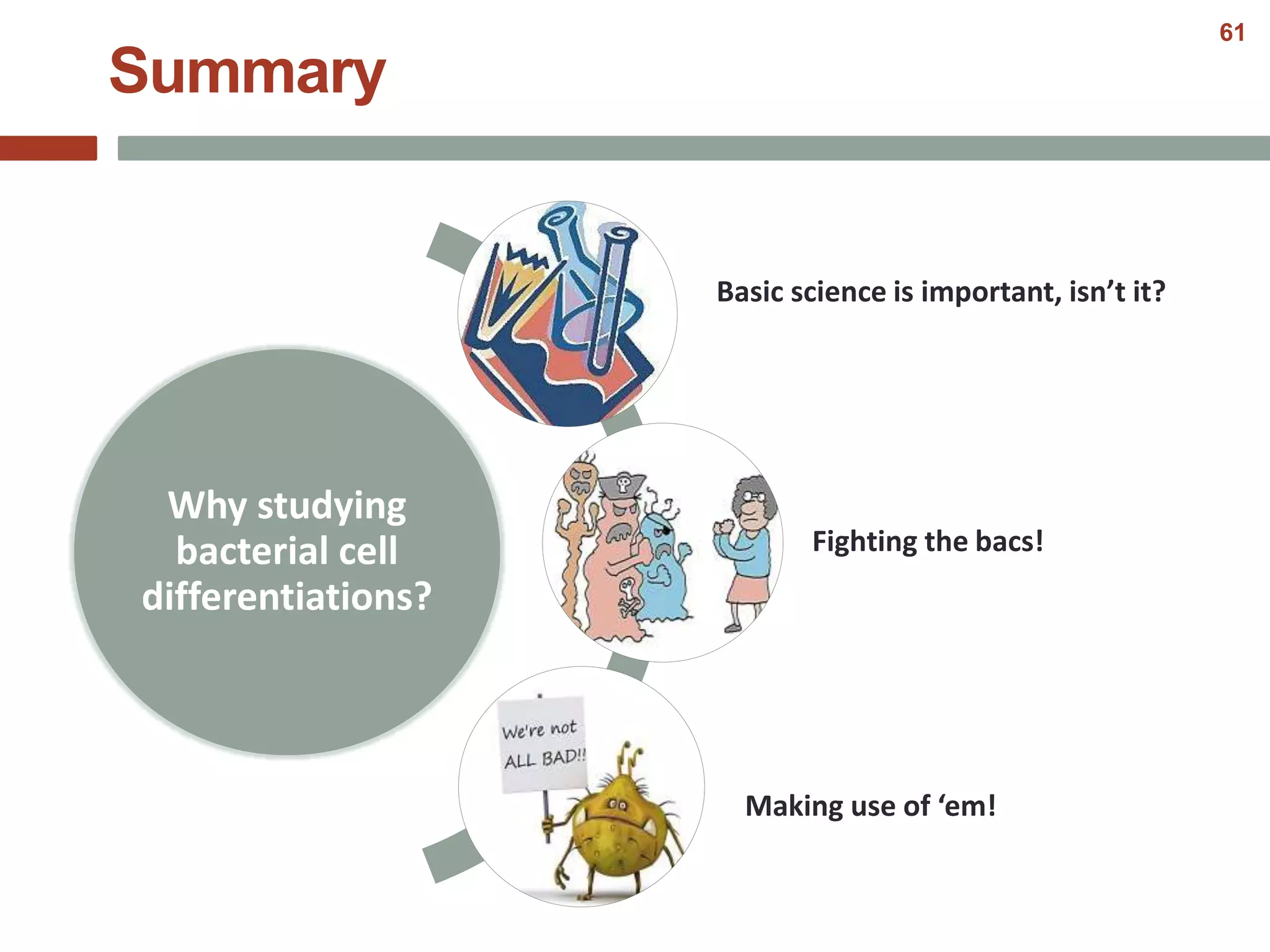 Summary
Why studying
bacterial cell
differentiations?
Basic science is important, isn’t it?
Fighting the bacs!
Making use of ‘em!
61
 