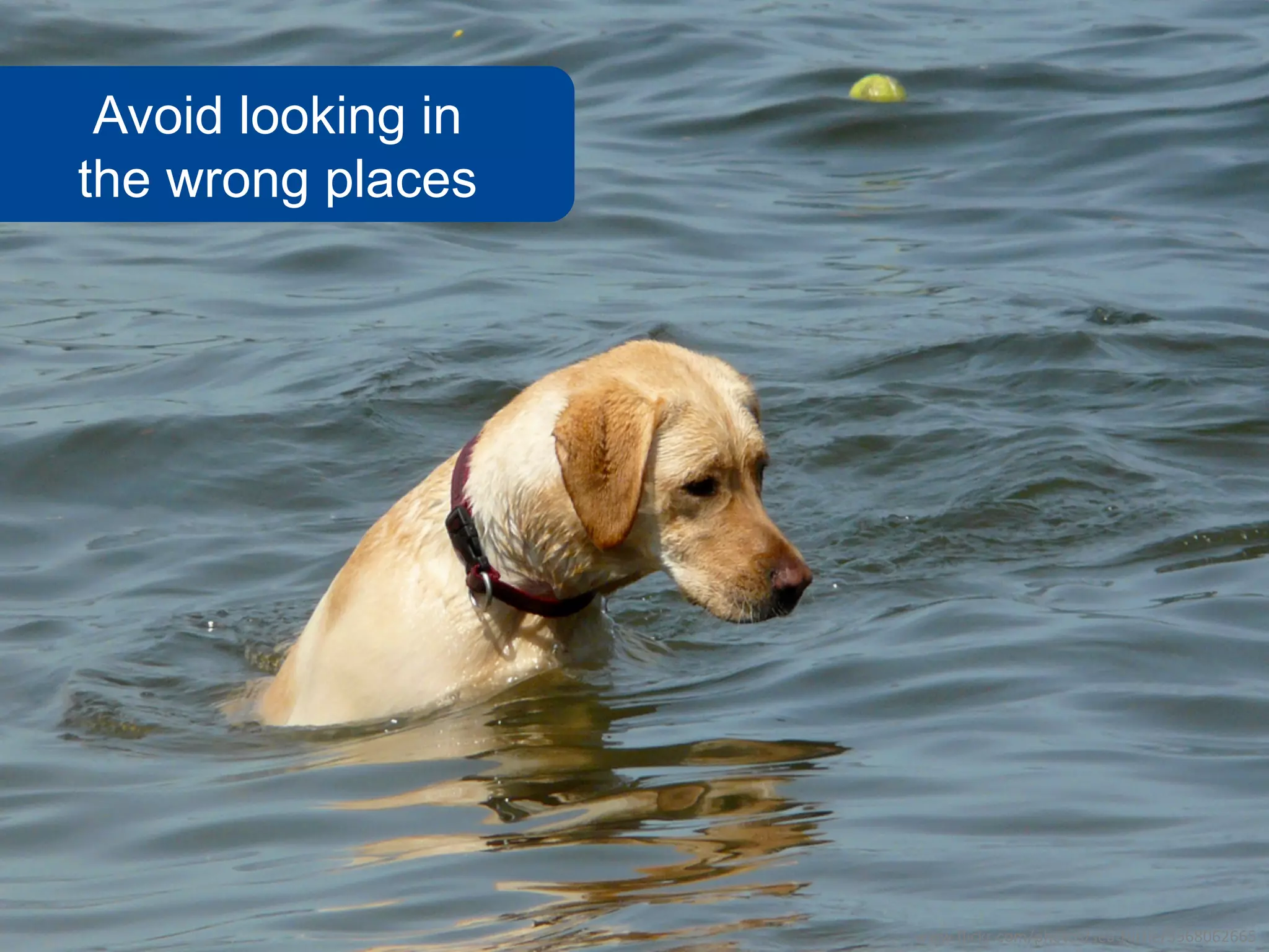 Avoid looking in
the wrong places




                    www.flickr.com/photos/sea-turtle/3568062665
 