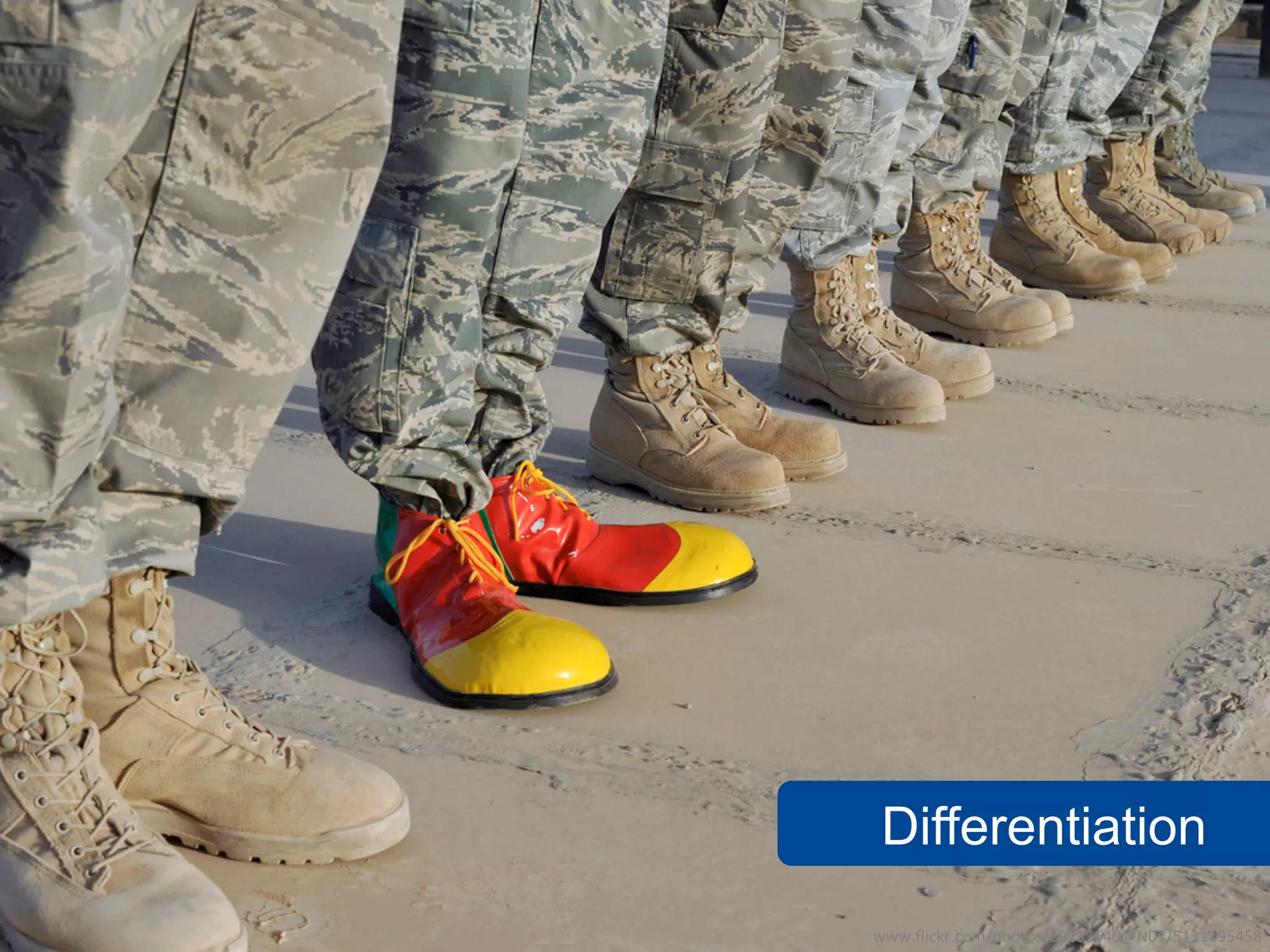 Differentiation
www.flickr.com/photos/29233640@N07/5131195458
 