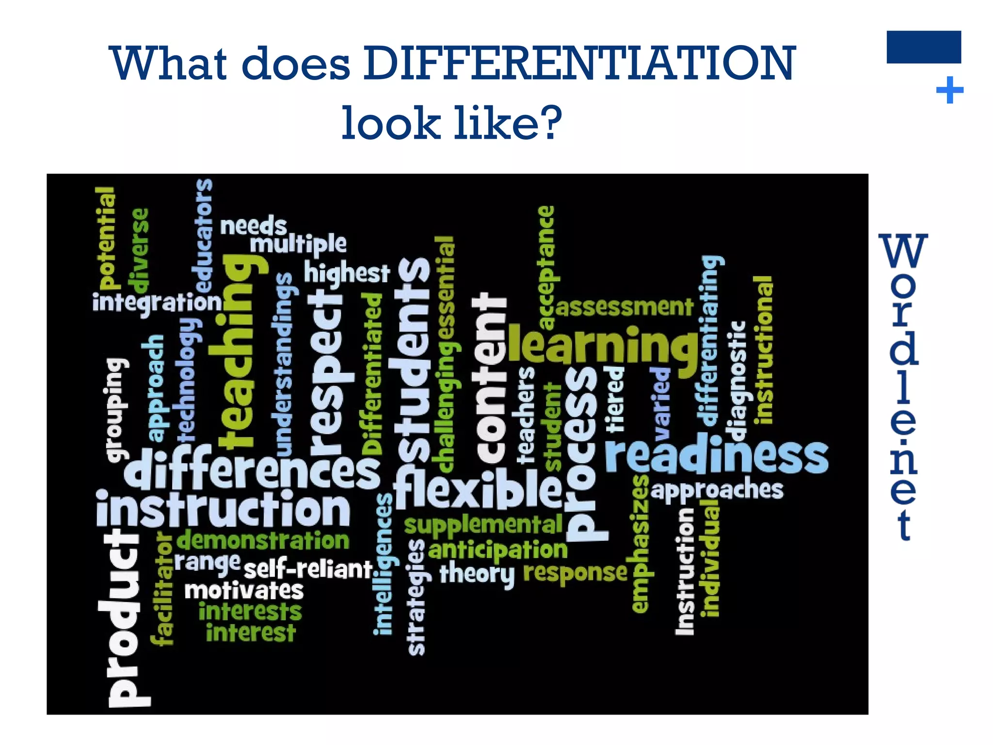 + What does DIFFERENTIATION  look like?  