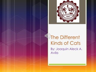 The Different
Kinds of Cats
By: Joaquin Aleck A.
Avila

 