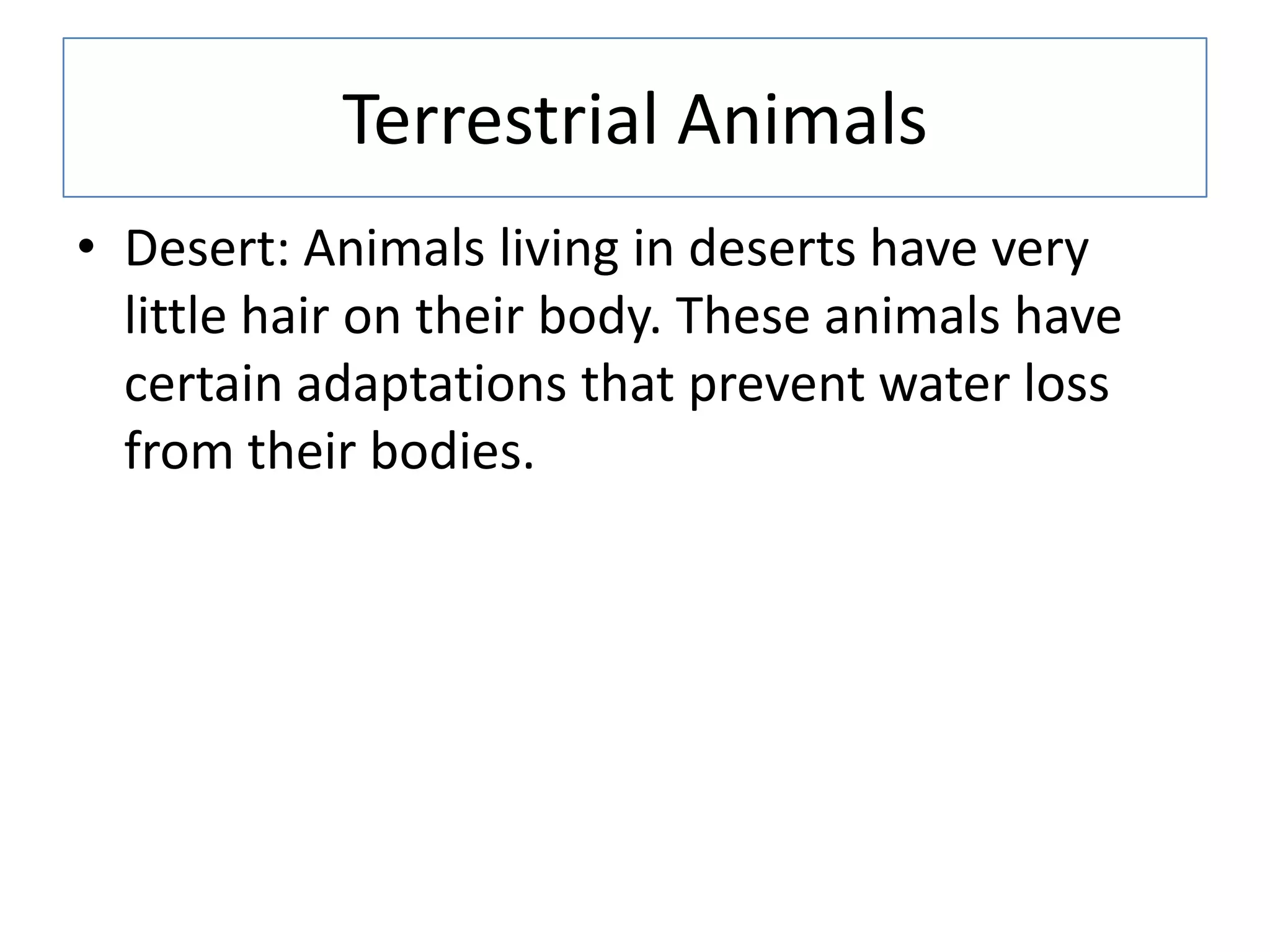 Terrestrial Animals
• Desert: Animals living in deserts have very
little hair on their body. These animals have
certain adaptations that prevent water loss
from their bodies.
 