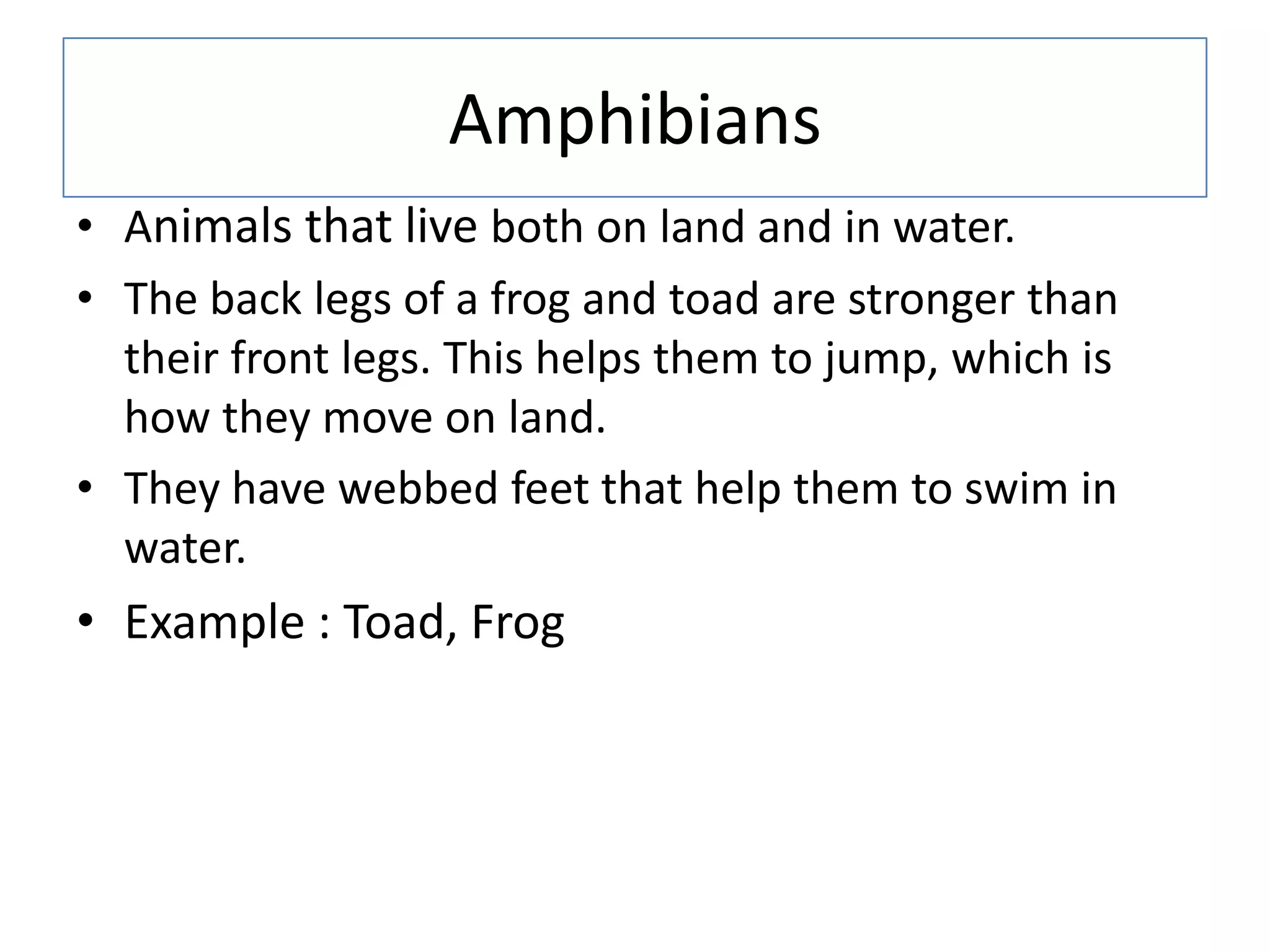 Amphibians
• Animals that live both on land and in water.
• The back legs of a frog and toad are stronger than
their front legs. This helps them to jump, which is
how they move on land.
• They have webbed feet that help them to swim in
water.
• Example : Toad, Frog
 