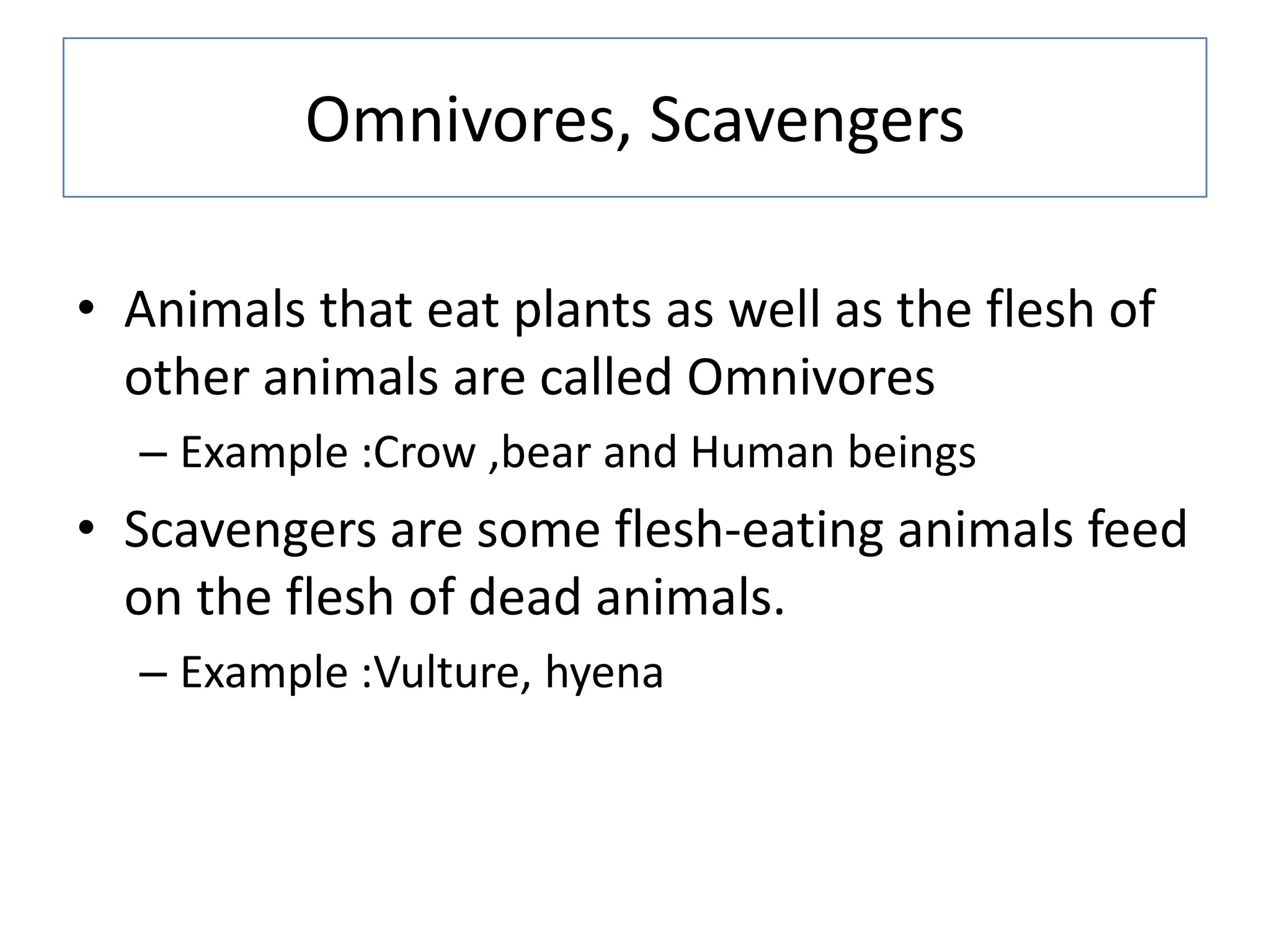 Omnivores, Scavengers
• Animals that eat plants as well as the flesh of
other animals are called Omnivores
– Example :Crow ,bear and Human beings
• Scavengers are some flesh-eating animals feed
on the flesh of dead animals.
– Example :Vulture, hyena
 