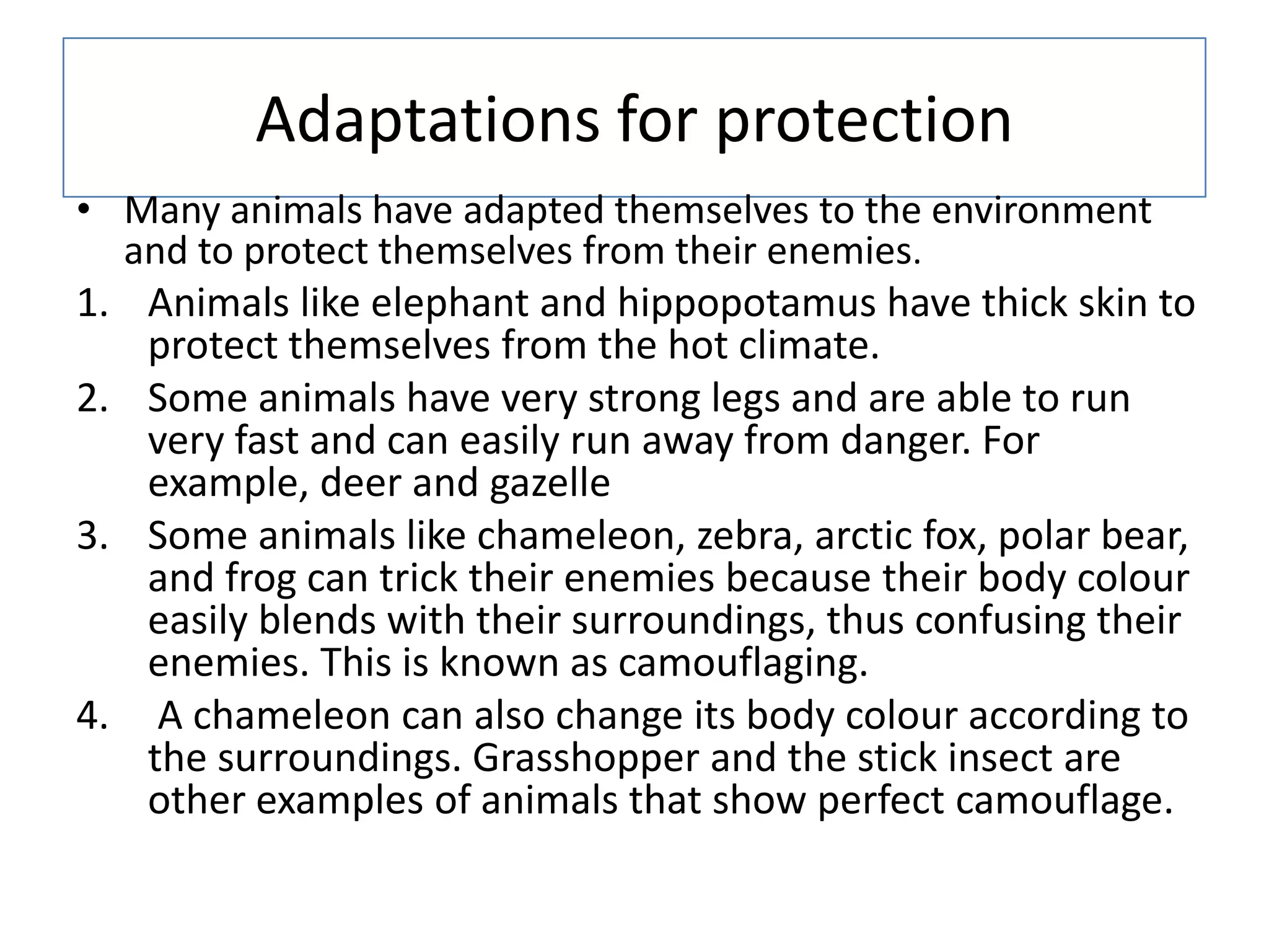 Adaptations for protection
• Many animals have adapted themselves to the environment
and to protect themselves from their enemies.
1. Animals like elephant and hippopotamus have thick skin to
protect themselves from the hot climate.
2. Some animals have very strong legs and are able to run
very fast and can easily run away from danger. For
example, deer and gazelle
3. Some animals like chameleon, zebra, arctic fox, polar bear,
and frog can trick their enemies because their body colour
easily blends with their surroundings, thus confusing their
enemies. This is known as camouflaging.
4. A chameleon can also change its body colour according to
the surroundings. Grasshopper and the stick insect are
other examples of animals that show perfect camouflage.
 