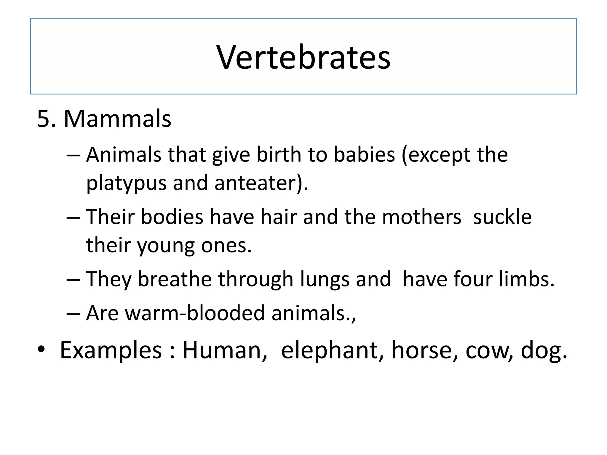 Vertebrates
5. Mammals
– Animals that give birth to babies (except the
platypus and anteater).
– Their bodies have hair and the mothers suckle
their young ones.
– They breathe through lungs and have four limbs.
– Are warm-blooded animals.,
• Examples : Human, elephant, horse, cow, dog.
 
