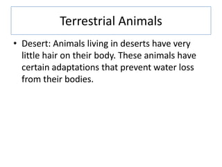 Terrestrial Animals
• Desert: Animals living in deserts have very
little hair on their body. These animals have
certain adaptations that prevent water loss
from their bodies.
 