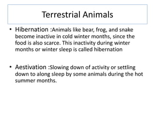 Terrestrial Animals
• Hibernation :Animals like bear, frog, and snake
become inactive in cold winter months, since the
food is also scarce. This inactivity during winter
months or winter sleep is called hibernation
• Aestivation :Slowing down of activity or settling
down to along sleep by some animals during the hot
summer months.
 