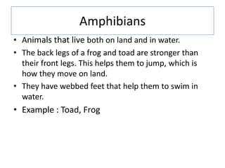 Amphibians
• Animals that live both on land and in water.
• The back legs of a frog and toad are stronger than
their front legs. This helps them to jump, which is
how they move on land.
• They have webbed feet that help them to swim in
water.
• Example : Toad, Frog
 
