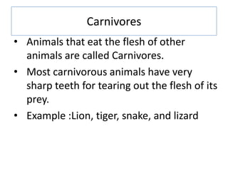 Carnivores
• Animals that eat the flesh of other
animals are called Carnivores.
• Most carnivorous animals have very
sharp teeth for tearing out the flesh of its
prey.
• Example :Lion, tiger, snake, and lizard
 