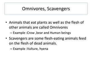 Omnivores, Scavengers
• Animals that eat plants as well as the flesh of
other animals are called Omnivores
– Example :Crow ,bear and Human beings
• Scavengers are some flesh-eating animals feed
on the flesh of dead animals.
– Example :Vulture, hyena
 