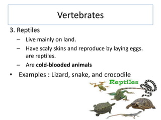 Vertebrates
3. Reptiles
– Live mainly on land.
– Have scaly skins and reproduce by laying eggs.
are reptiles.
– Are cold-blooded animals
• Examples : Lizard, snake, and crocodile
 