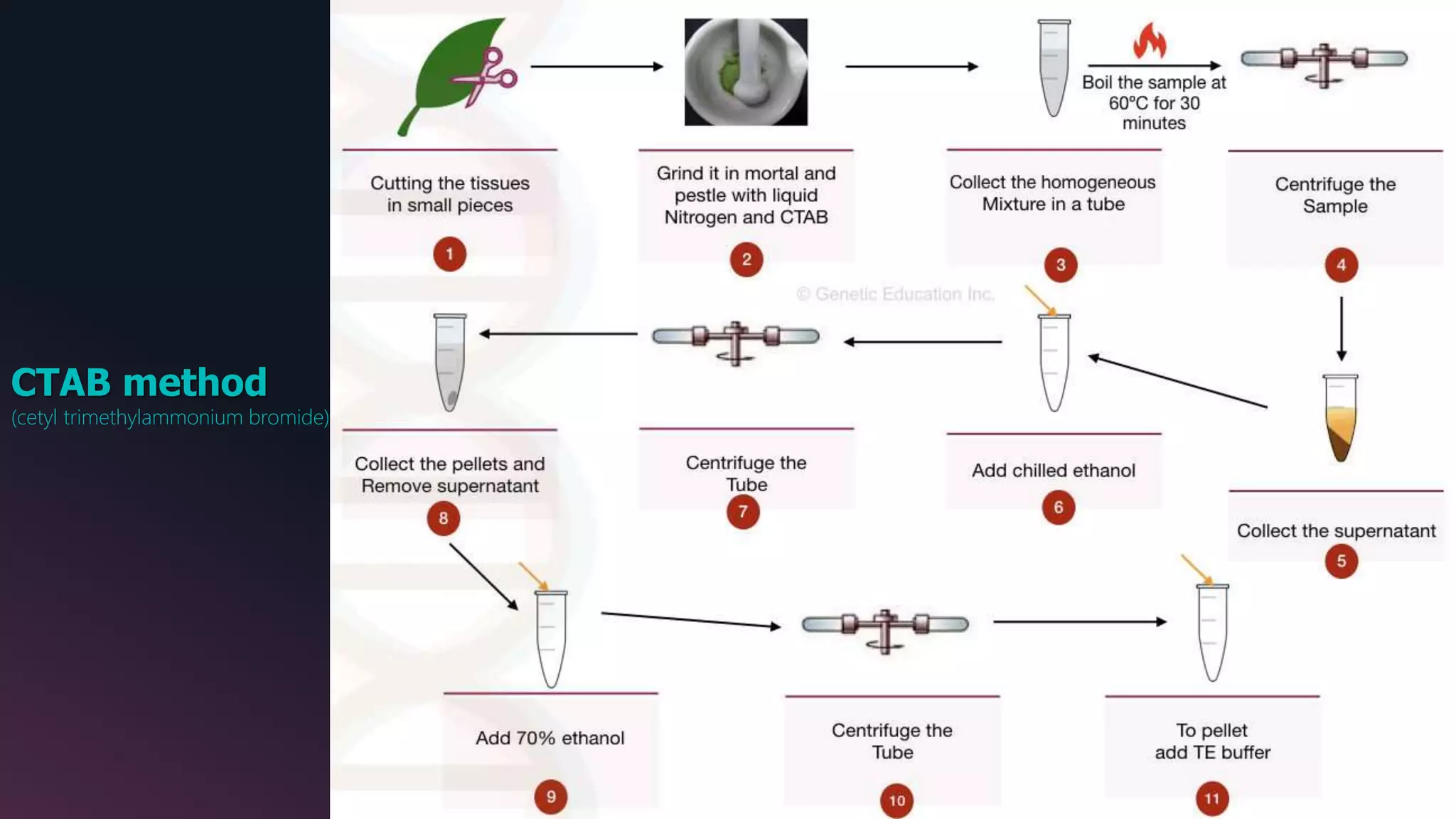 CTAB method
(cetyl trimethylammonium bromide)
 