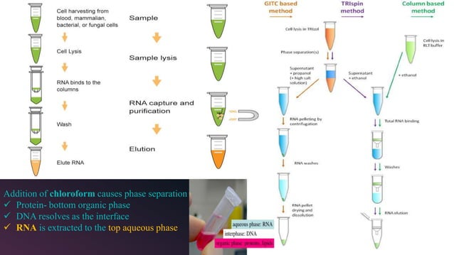 Different methods of DNA isolation | PPTX | Chemistry | Science