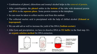 Different methods of DNA isolation | PPTX