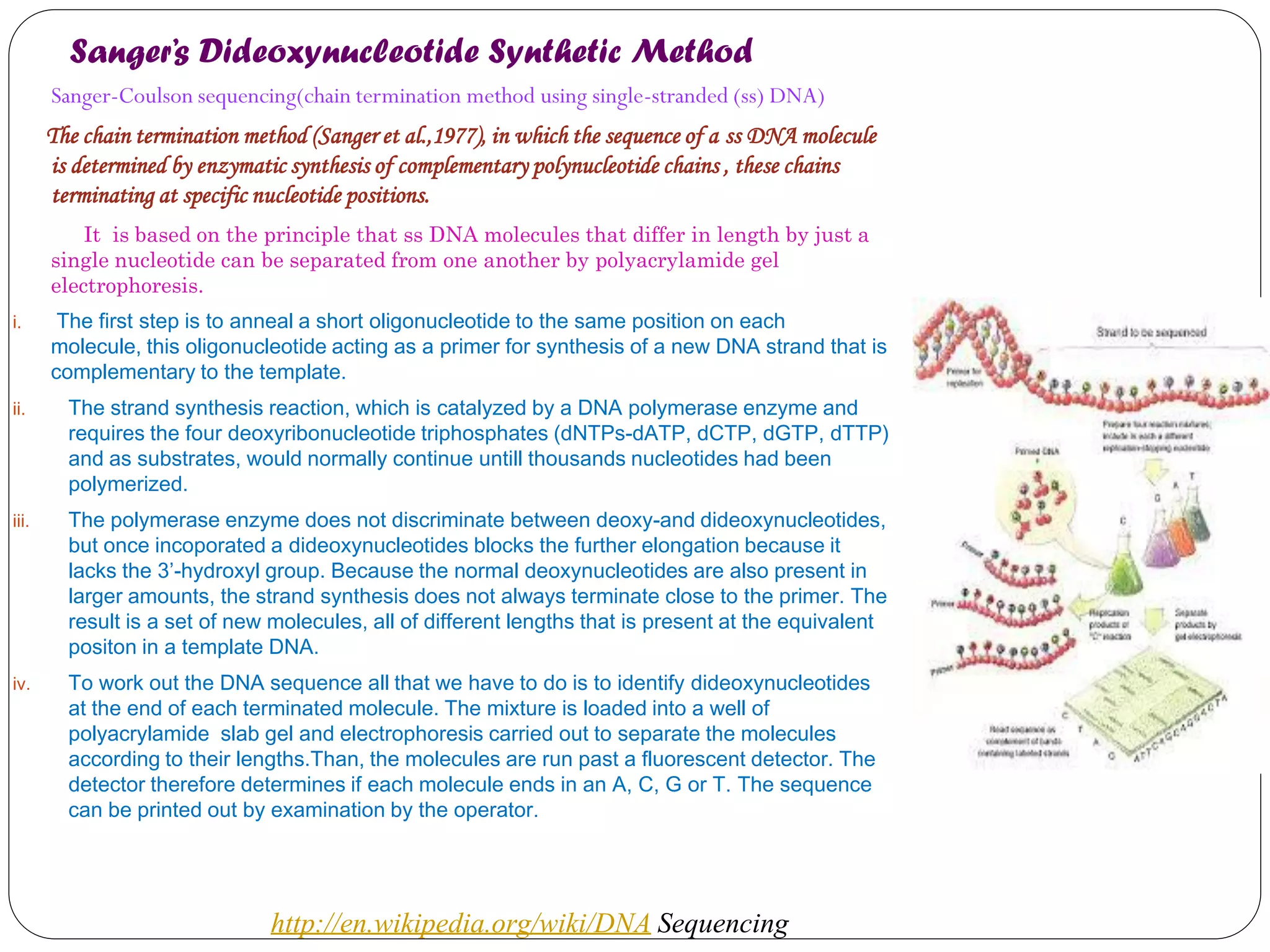 Sanger’s Dideoxynucleotide Synthetic Method 
Sanger-Coulson sequencing(chain termination method using single-stranded (ss) DNA) 
The chain termination method (Sanger et al.,1977), in which the sequence of a ss DNA molecule is determined by enzymatic synthesis of complementary polynucleotide chains , these chains terminating at specific nucleotide positions. 
It is based on the principle that ss DNA molecules that differ in length by just a single nucleotide can be separated from one another by polyacrylamide gel electrophoresis. 
i. The first step is to anneal a short oligonucleotide to the same position on each molecule, this oligonucleotide acting as a primer for synthesis of a new DNA strand that is complementary to the template. 
ii.The strand synthesis reaction, which is catalyzed by a DNA polymerase enzyme and requires the four deoxyribonucleotide triphosphates (dNTPs-dATP, dCTP, dGTP, dTTP) and as substrates, would normally continue untill thousands nucleotides had been polymerized. 
iii.The polymerase enzyme does not discriminate between deoxy-and dideoxynucleotides, but once incoporated a dideoxynucleotides blocks the further elongation because it lacks the 3’-hydroxyl group. Because the normal deoxynucleotides are also present in larger amounts, the strand synthesis does not always terminate close to the primer. The result is a set of new molecules, all of different lengths that is present at the equivalent positon in a template DNA. 
iv.To work out the DNA sequence all that we have to do is to identify dideoxynucleotides at the end of each terminated molecule. The mixture is loaded into a well of polyacrylamide slab gel and electrophoresis carried out to separate the molecules according to their lengths.Than, the molecules are run past a fluorescent detector. The detector therefore determines if each molecule ends in an A, C, G or T. The sequence can be printed out by examination by the operator. 
http://en.wikipedia.org/wiki/DNA Sequencing  