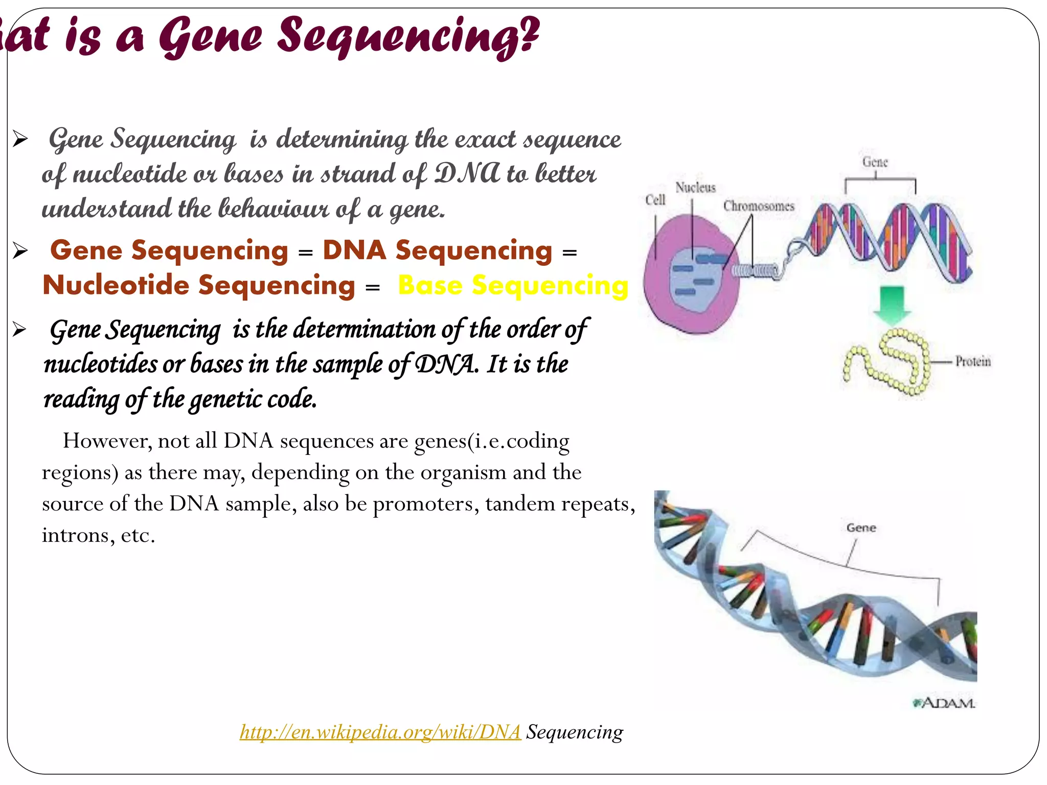 What is a Gene Sequencing? 
 Gene Sequencing is determining the exact sequence of nucleotide or bases in strand of DNA to better understand the behaviour of a gene. 
 Gene Sequencing = DNA Sequencing = Nucleotide Sequencing = Base Sequencing 
 Gene Sequencing is the determination of the order of nucleotides or bases in the sample of DNA. It is the reading of the genetic code. 
However, not all DNA sequences are genes(i.e.coding regions) as there may, depending on the organism and the source of the DNA sample, also be promoters, tandem repeats, introns, etc. 
http://en.wikipedia.org/wiki/DNA Sequencing  
