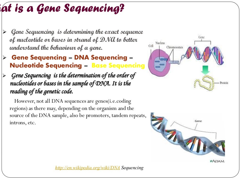 Different methods of gene sequencing durgesh sirohi