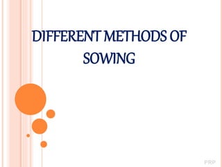 DIFFERENT METHODS OF
SOWING
PRP
 