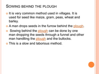 SOWING BEHIND THE PLOUGH
 It is very common method used in villages. It is
used for seed like maize, gram, peas, wheat and
barley.
 A man drops seeds in the furrow behind the plough.
 Sowing behind the plough can be done by one
man dropping the seeds through a funnel and other
man handlling the plough and the bullocks.
 This is a slow and laborious method.
 
