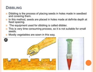 DIBBLING
 Dibbling is the process of placing seeds in holes made in seedbed
and covering them.
 In this method, seeds are placed in holes made at definite depth at
fixed spacing.
 The equipment used for dibbling is called dibbler.
 This is very time consuming process, so it is not suitable for small
seeds.
 Mostly vegetables are sown in this way.
 