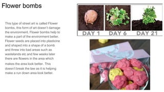 Flower bombs
This type of street art is called Flower
bombs, this form of art doesn’t damage
the environment. Flower bombs help to
make a part of the environment better.
Flower seeds are placed into plasticine
and shaped into a shape of a bomb
and threw into bad areas such as
wastelands etc and few weeks later
there are flowers in the area which
makes the area look better. This
doesn’t break the law as it is helping
make a run down area look better.
 
