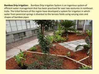 Bamboo Drip Irrigation: Bamboo Drip irrigation System is an ingenious system of
efficient water management that has been practised for over two centuries in northeast
India. The tribal farmers of the region have developed a system for irrigation in which
water from perennial springs is diverted to the terrace fields using varying sizes and
shapes of bamboo pipes
 