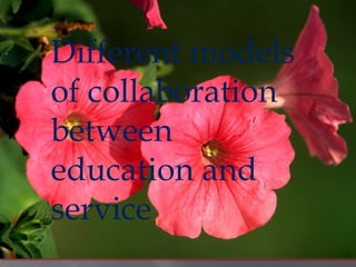 Different models
of collaboration
between
education and
service

 
